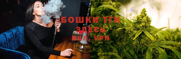 ПСИЛОЦИБИНОВЫЕ ГРИБЫ Белоозёрский