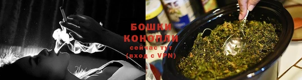 сатива Баксан