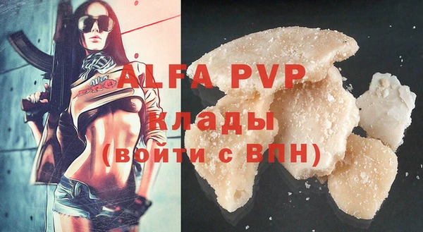 ПСИЛОЦИБИНОВЫЕ ГРИБЫ Белоозёрский