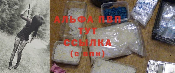 амф Беломорск