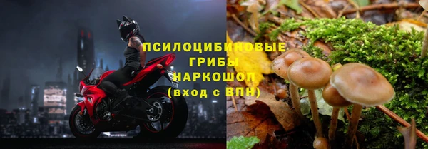 прущие крисы Белокуриха