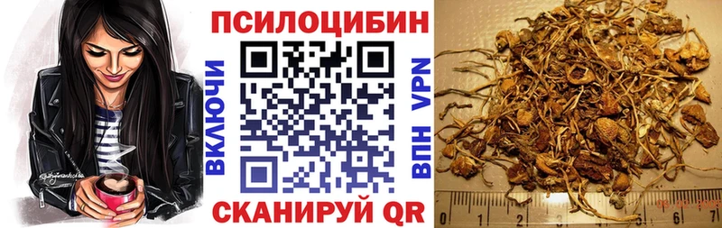 mega вход  Шагонар  Галлюциногенные грибы Psilocybe  закладки 
