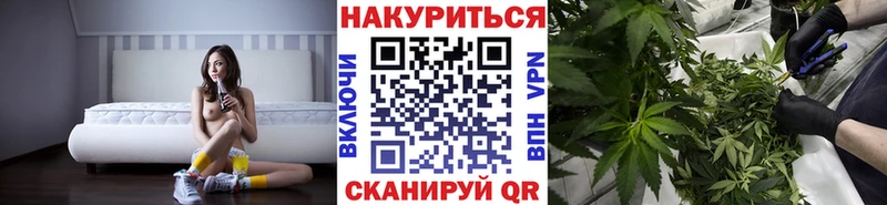 купить   Шагонар  Марихуана Ganja 